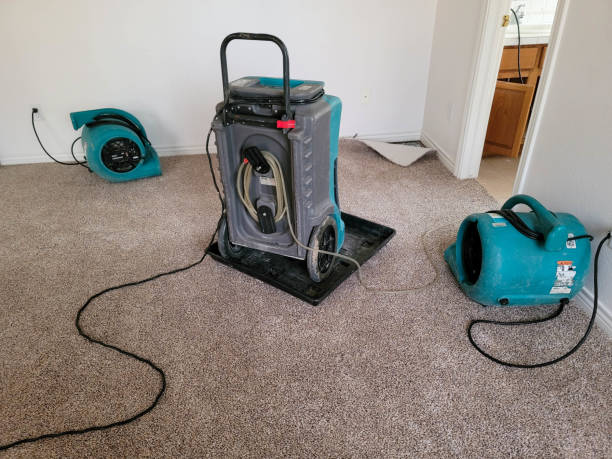 Best Water damage restoration cost  in Kerens, TX