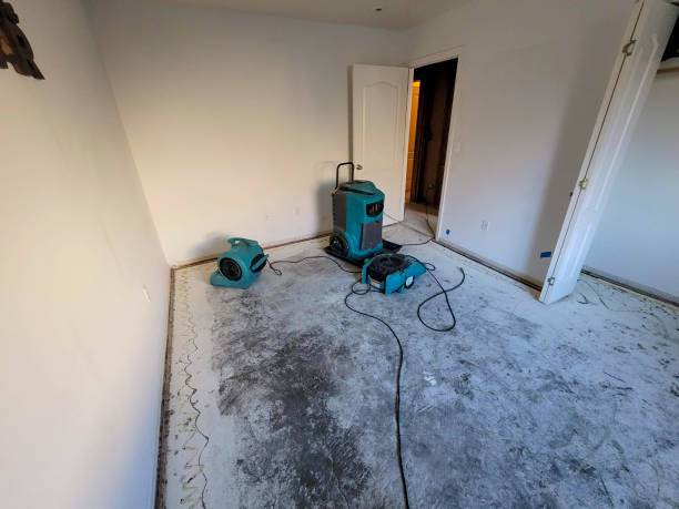 Best Fire Damage Restoration  in Kerens, TX