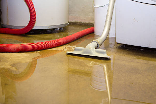 Best Water damage cleanup near me  in Kerens, TX