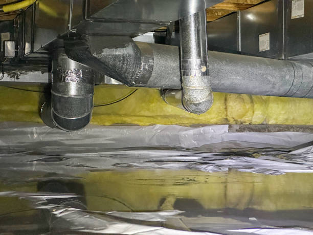 Best Basement water damage restoration  in Kerens, TX
