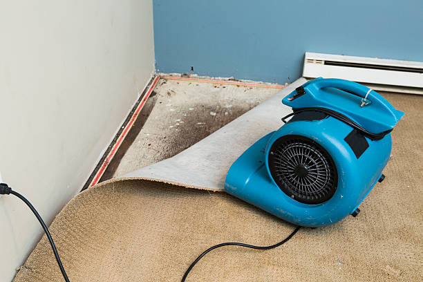 Best Commercial water damage restoration  in Kerens, TX